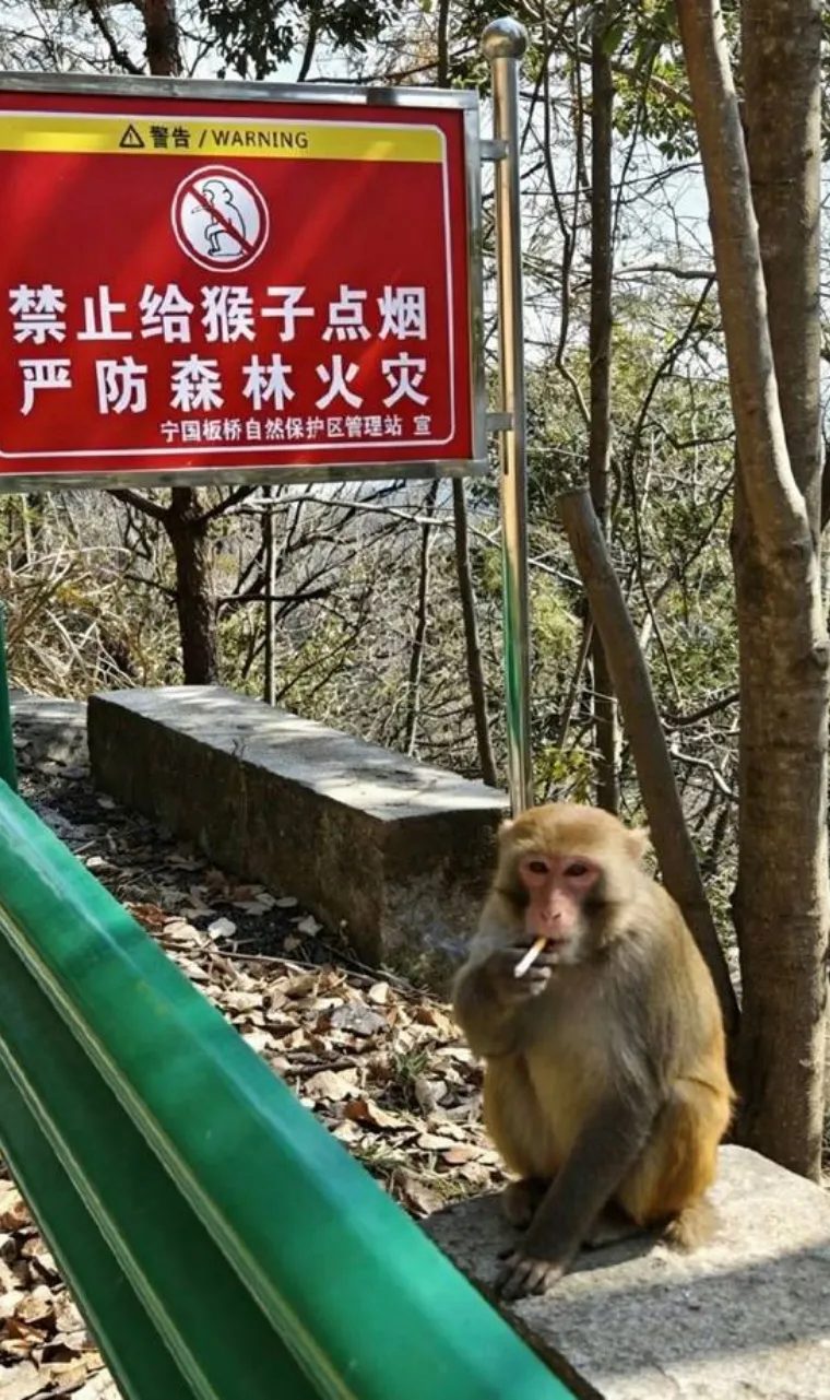隐患识别_015