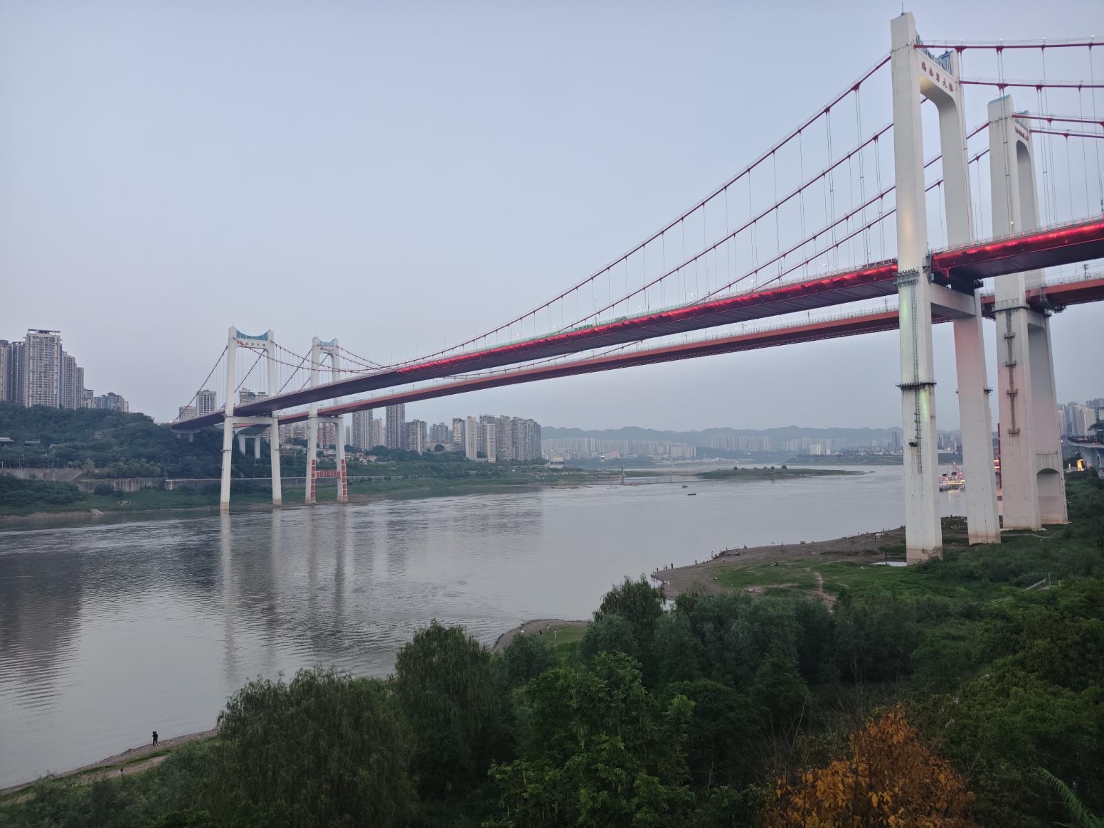 识别结果