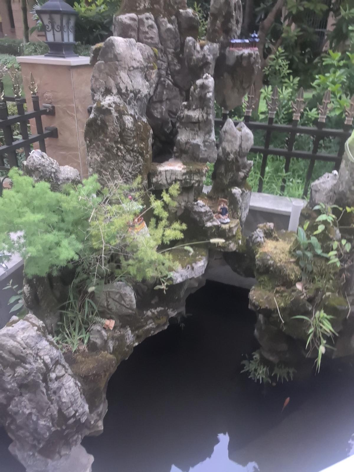 识别结果