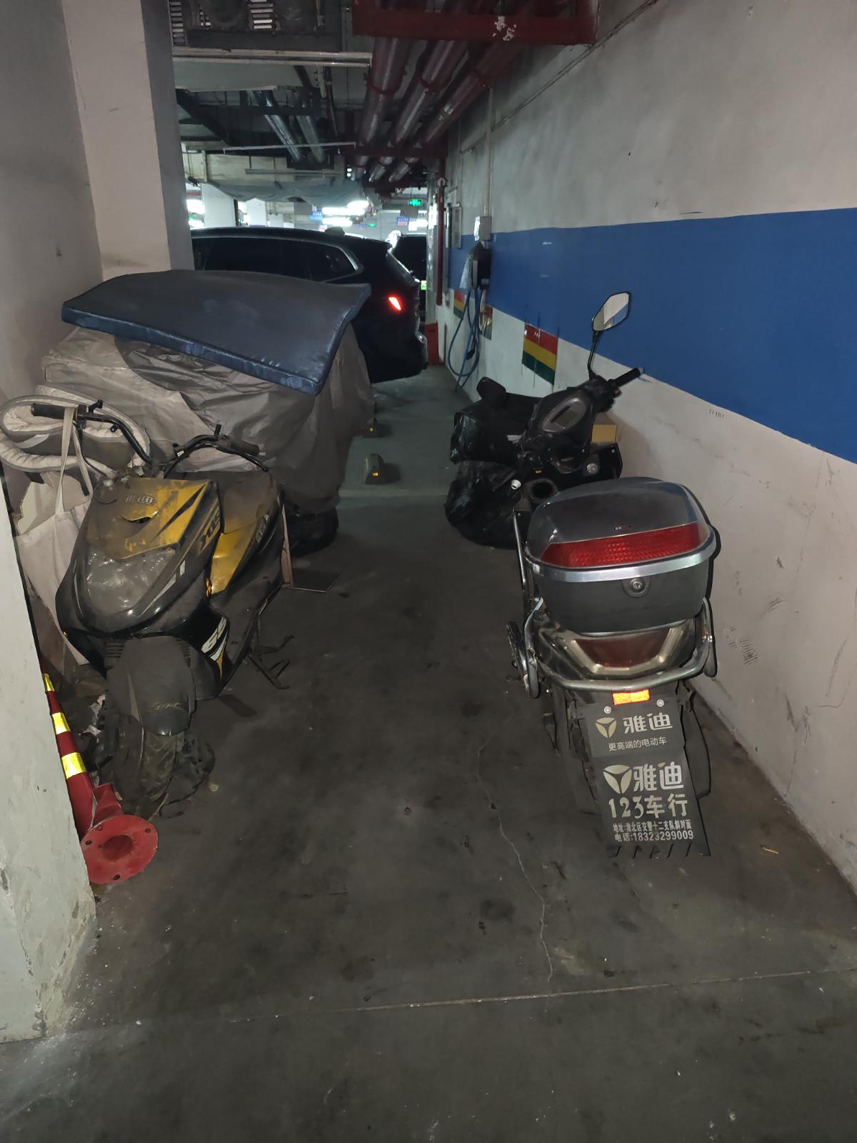 识别结果