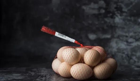 识别结果