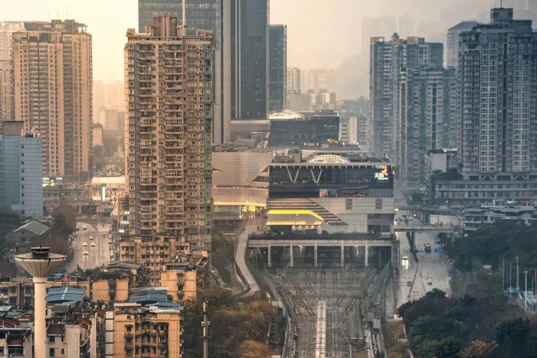 识别结果