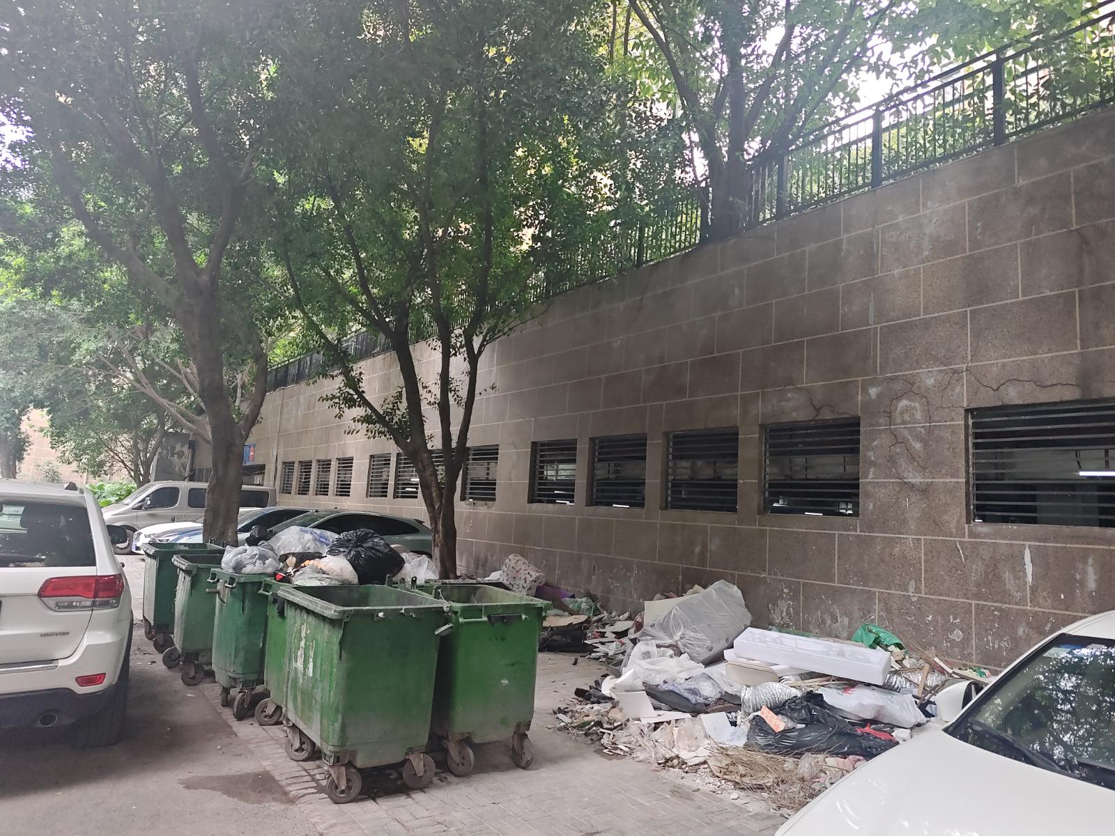 识别结果