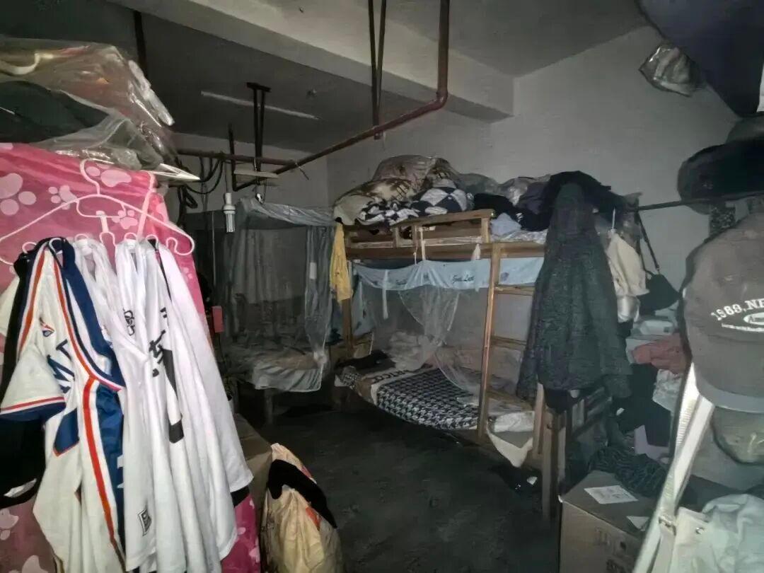 识别结果