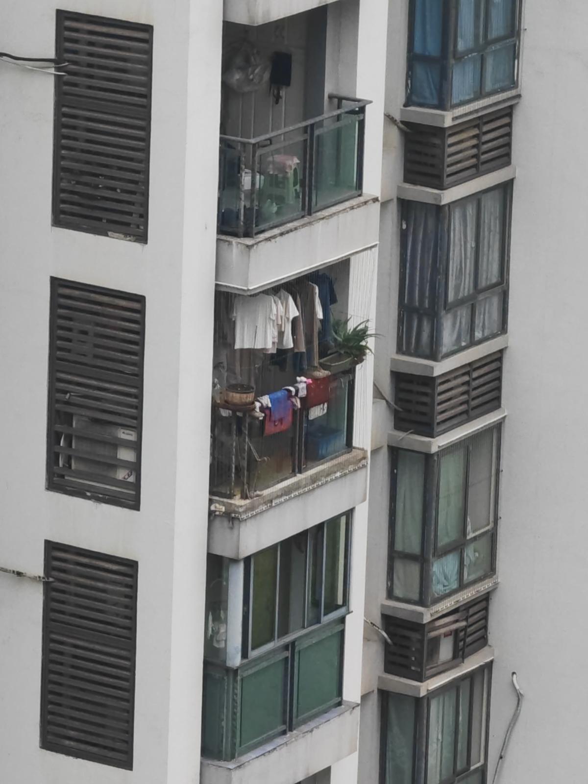 识别结果
