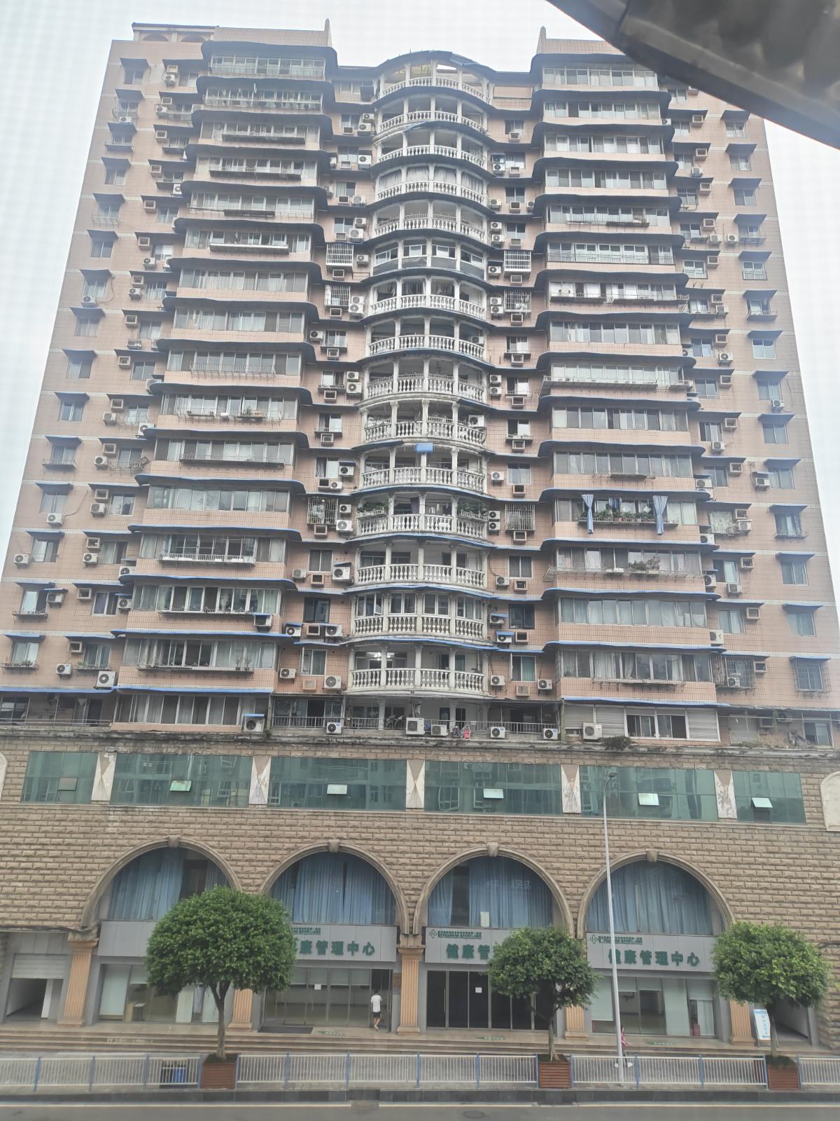 识别结果