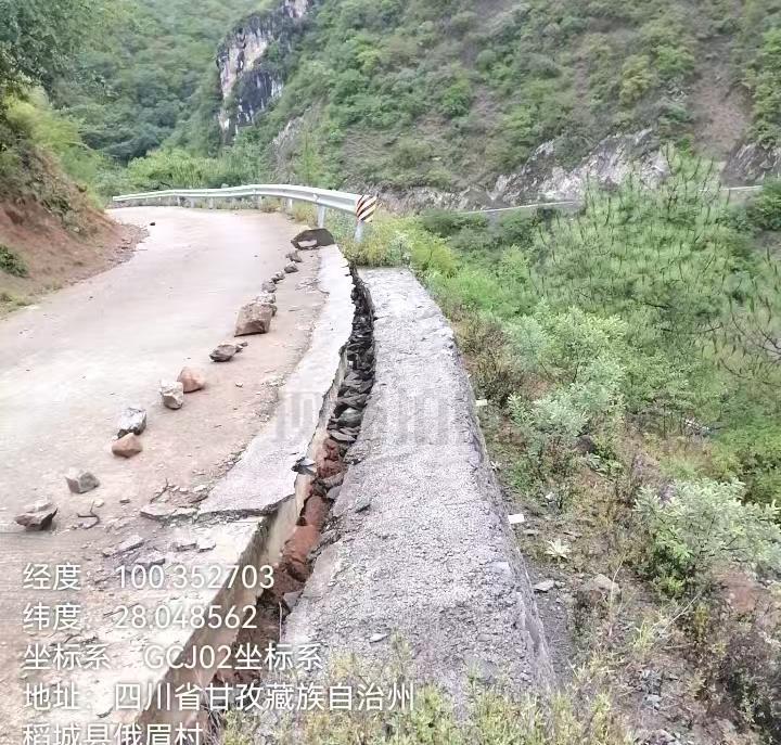 识别结果