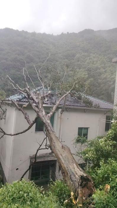 识别图片