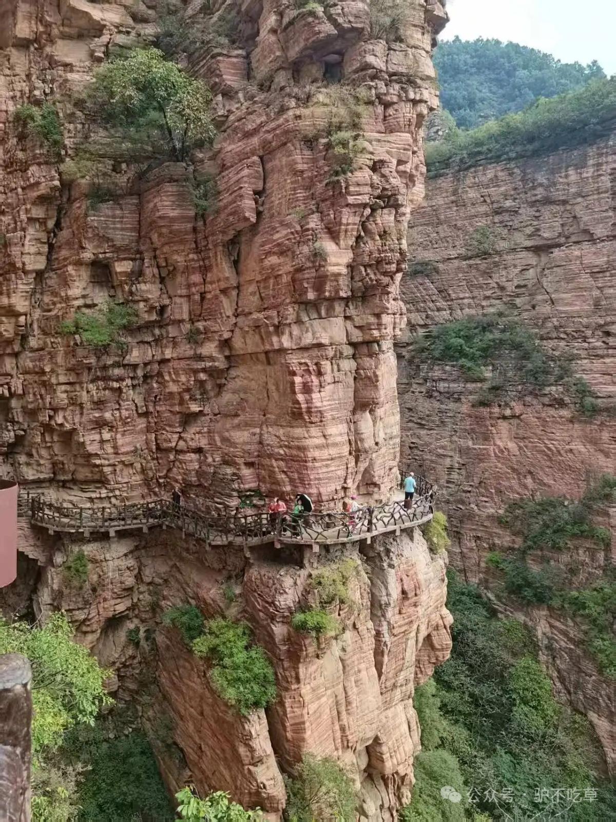 识别图片