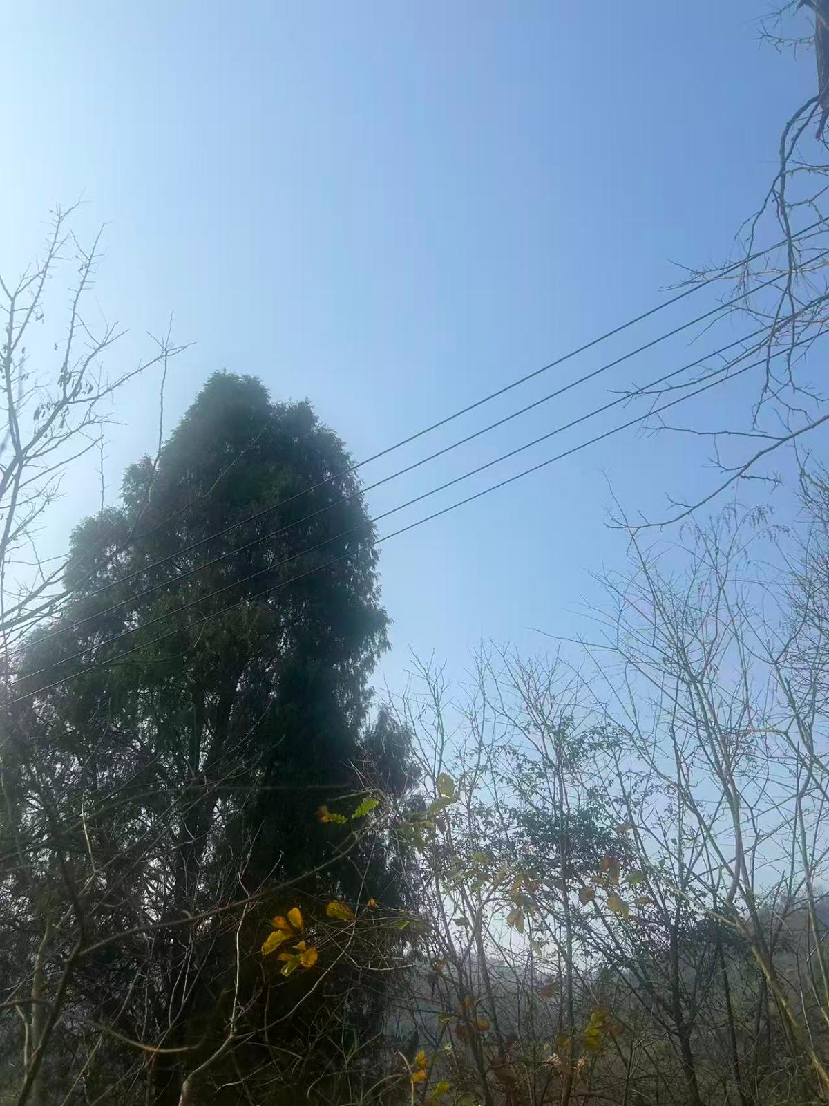 识别图片